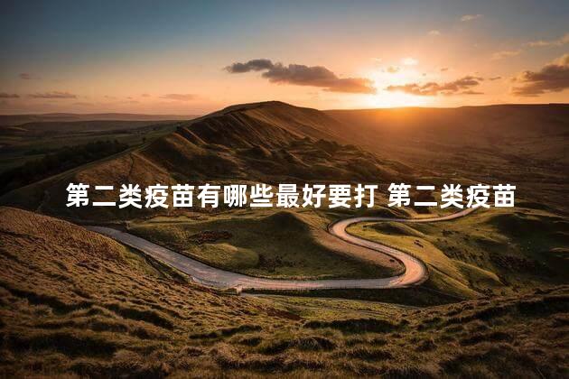 第二类疫苗有哪些最好要打 第二类疫苗可以报销吗